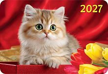 Календарь карм. 2027г. ЛИС "Кошки" КГ-27-372 уф-лак,64*93мм,карт.225г/м