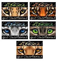 Альбом для рис.40л. ПЗБФ "Взгляд" 046103 твин-лак,асс.