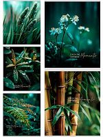 Тетрадь 48л. (клетка) Проф-Пресс "Растительная тема" 48-9059 цв.мел.обл.