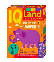 Карточки многоразовые с маркером IQ АЙРИС "Загадочные лабиринты" (5+) 29664