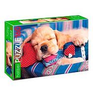 Пазлы  160 ХАТ А4 "Сони засони" 16163