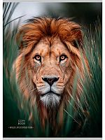 Тетрадь 96л. (клетка) А4 Проф-Пресс "Красивый лев-1" 96-9009 цв.мел.обл.