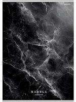 Тетрадь 48л. (клетка) А4 Проф-Пресс "Чёрный мрамор" 48-8943 цв.мел.обл.