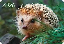 Календарь карм. 2026г. ЛИС "Таинственный лес" КГ-26-363 уф-лак,64*93мм,карт.225г/м