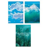Тетрадь 96л. (линейка) А4 ХАТ "Элементы природы" глянц.лам.,асс.
