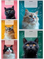 Тетрадь 12л. (кос.лин.) Проф-Пресс "Портретные фото котов-1" 12-4277 цв.мел.обл.,асс.