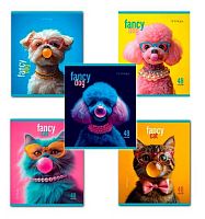 Тетрадь 48л. (клетка) ПЗБФ Премиум "Модные зверушки" 021498 мат.лам.,выб.уф-лак,,конгрев,асс.