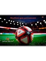 Альбом для рис.16л. Проф-Пресс "Фото мяча" 16-7491 на скобе