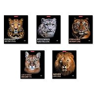 Тетрадь 48л. (клетка) EK "Strong and Brave" 54258 мат.лам.