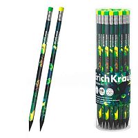 Карандаш ч/гр. пластик. с ласт. EK "Garden Pet" 62772 HB,трёхгр.,асс..