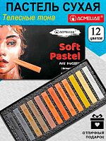 Пастель худ. 12цв. ACMELIAE "Коричневые тона" SPE-12 сухая,мягкая,к/к