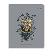 Тетрадь предм. 48л. СВЕТОЧ пластик.обл. "Архивариус-Химия" Т290 (01878) тисн.фольг.(клетка)