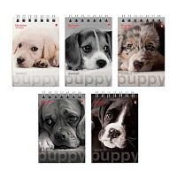 Блокнот А7  40л. АЛЬТ спираль "Чудо-щеночки" 3-40-065 клетка,лам.карт.,асс.