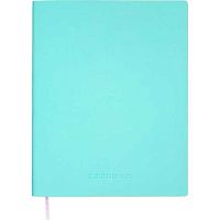 Дневник 1-11кл. deVENTE тв.обл. "Soft touch.Мятный" 2021669 кож.зам.софт-тач,крем.бум.