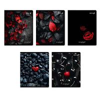 Тетрадь 48л. (клетка) СВЕТОЧ "Акценты" Т198 (01990) мел.карт.,твин лак