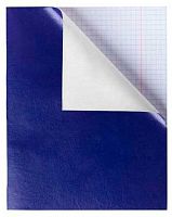 Тетрадь 96л. (клетка) ХАТ NN б/в обл. Синий газетка