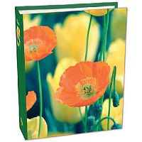 Фотоальбом PP-46200 46363 200фото (10*15см) ПП карм. 