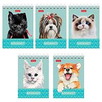 Блокнот А7  40л. ХАТ спираль "Глазки,ушки,носик" обл.мел.карт.