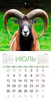 Календарь настенный 2027г. ХАТ Мини-Стандарт "Знак Года" 35946 мел.,12л.,21,6*21,6,на скобе 096174