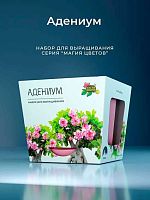 Набор д/выращивания АЛЕФ Магия цветов "Адениум" mf-001