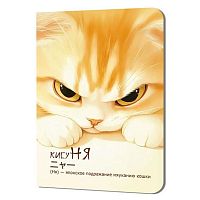 Блокнот  9*12см  24л. КОНТЭНТ "КисуНЯ (котик хмурится)" 978-5-00241-289-1 клетка,крем.бум.