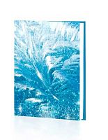 Ежедневник н/д А6 112л. ЭКСМО тв.обл. "Морозные узоры" ЕЖФ24611209 микротекстур.,фольга