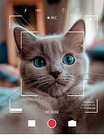 Дневник 1-11кл. Проф-Пресс "Котик в объективе" Д40-3843 на скрепке,без обработки