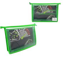 Папка д/труда А4 ПЧЕЛКА ПТР-2 "Green Bike" пластик.