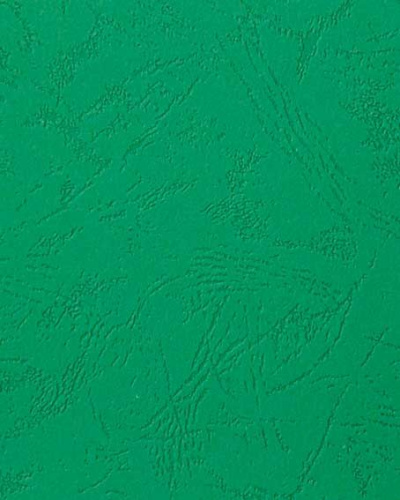Обложка д/брош. картон кожа  А4 230г/м2 зеленые (100) 3911