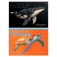 Альбом для рис.32л. BG "Ocean" 08618 на скобе,асс.