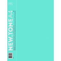 Папка 2 кольца 40мм ХАТ А4 Premium NEWtone Pastel Мята 05039, 700мкм