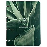 Тетрадь на кольцах 120л. (клетка) Be Smart "Botanica. Сансевиерия" N4237 лам.,скругл.углы