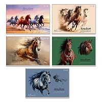 Альбом для рис.40л. SVETOCH "Грация и сила" А258 (01715) на скобе