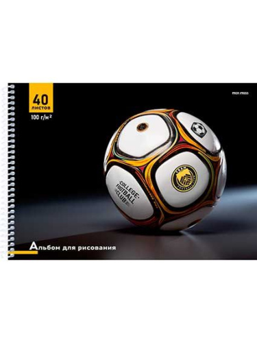 Альбом для рис.40л. Проф-Пресс спираль "Футбольный мяч-12" 40-2193 офсет
