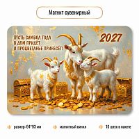Магнит винил. Символ Года 2027 КВ 10399