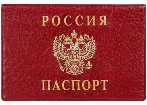 Обложка д/паспорта ДПС горизонт. бордо 2203.Г-103