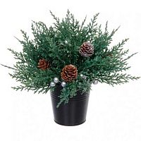 Хвойная композиция "Живая пихта" 22*22*18см 848-437