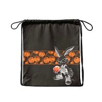 Сумка д/обуви КОКОС 36*44см "Basketball" 250132 полиэстер,1отд.