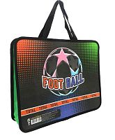 Папка пластик,с ручками А4 ПЧЕЛКА ПМ-А4-26 "Лига" д/тетрадей