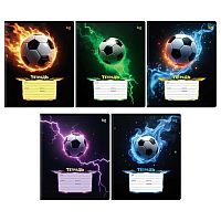 Тетрадь 12л. (клетка) BG "Bright game" 08912 асс.