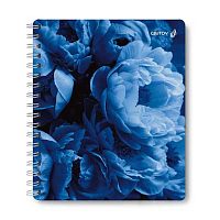 Тетрадь 96л. (клетка) СВЕТОЧ пластик.обл. спираль "Нежные лепестки" ТЕТ96-002 (01909)