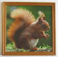 Фоторамка Сосна Питер 20*20 3N88 клён,ширина багета-16мм