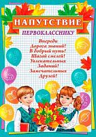 0.9-19-637 Грамота Напутствие первокласснику (тонк.) (МО)