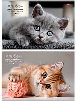 Альбом для рис.32л. Проф-Пресс Profit "Котики" 32-7254 на скобе,асс.