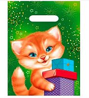 Пакет полиэт. 22*29см "Котик с подарками" 56,004,00