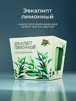Набор д/выращивания АЛЕФ Магия цветов "Эвкалипт лимонный" mf-007