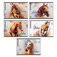 Альбом для рис.40л. EK "Wild Mane" 63450 на скобе, твин-лак.асс.