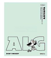 Тетрадь предм. 48л. ХАТ "Приключения чайки-Алгебра" 36031 пластик обл.,интер.справ.инф.(клетка)