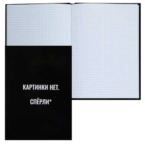 Записная книжка А5  80л. КОКОС "Картинки нет. Спёрли" 252636 клетка,тв.обл.,глянц.лам.