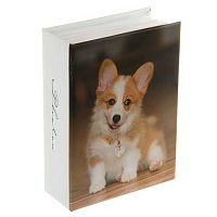 Фотоальбом LM 4R100 122104 100фото (10*15см) ПП карм.